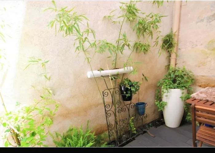 Grand Confort Au Coeur De * Millau